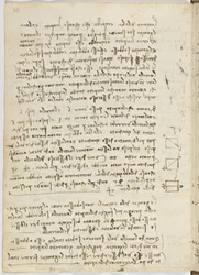 Birds Flight Code, Sheet 14 Verso